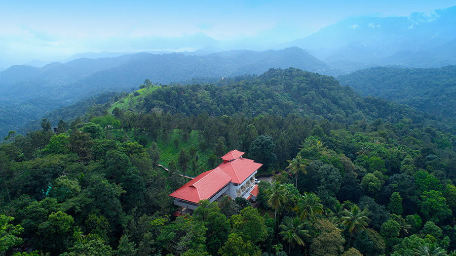 Living your dream at Munnar